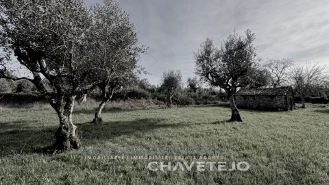 Terreno para Venda em Alvorge