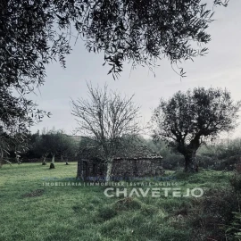 Terreno para Venda em Alvorge