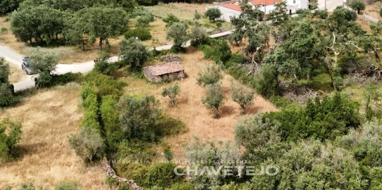 Terreno para Venda em Alvorge