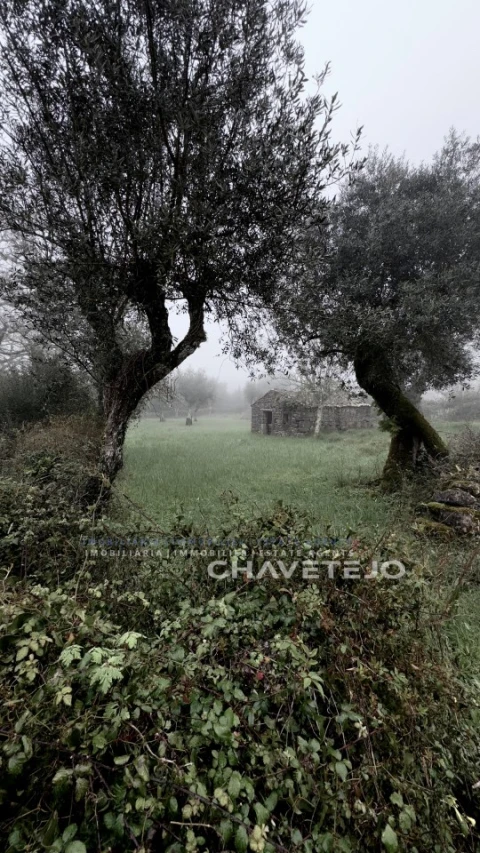 Terreno para Venda em Alvorge