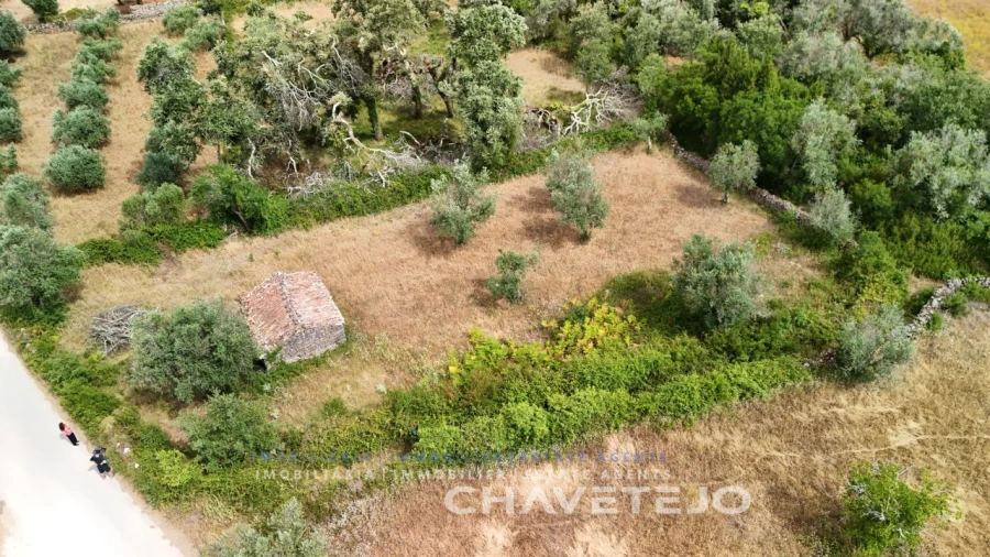 Terreno para Venda em Alvorge Foto 7