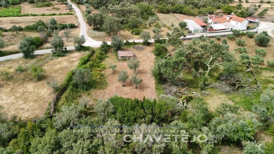 Terreno para Venda em Alvorge Foto 8
