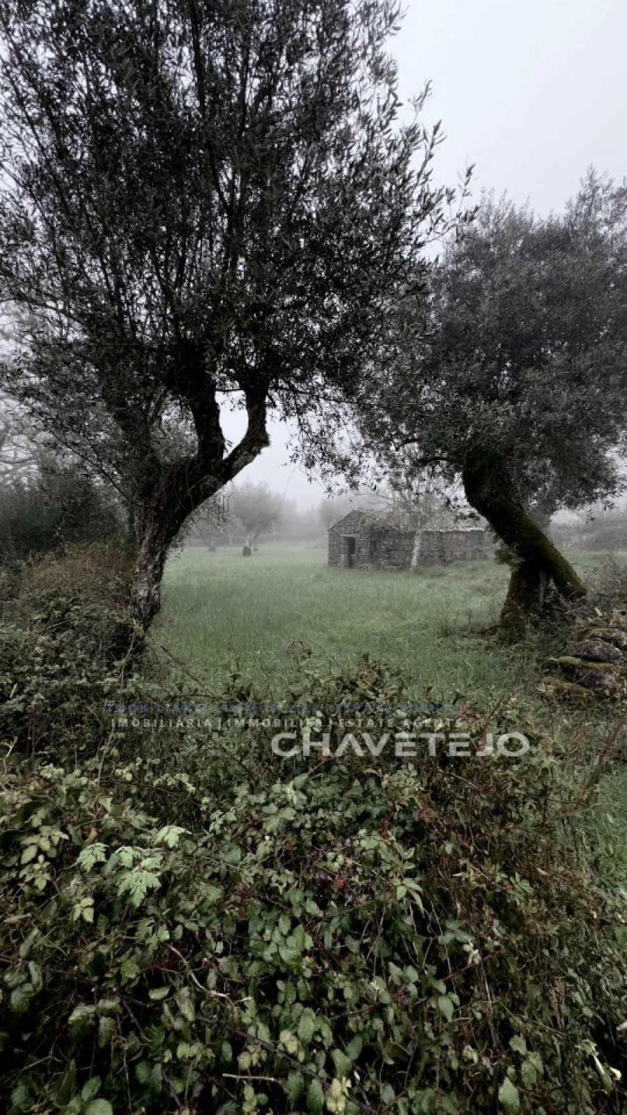 Terreno para Venda em Alvorge Foto 34