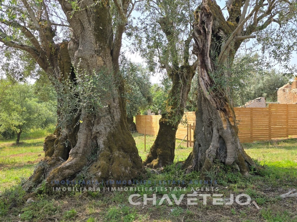 Moradia T3 para Venda em Chãos Foto 6