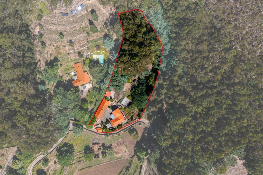 Quinta T3 para Venda em Vilar de Mouros Foto 57