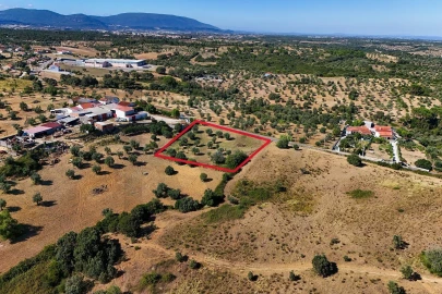 Terreno para Venda em Pernes