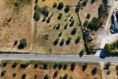 Terreno para Venda em Pernes