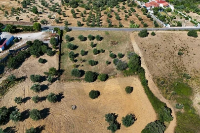 Terreno para Venda em Pernes