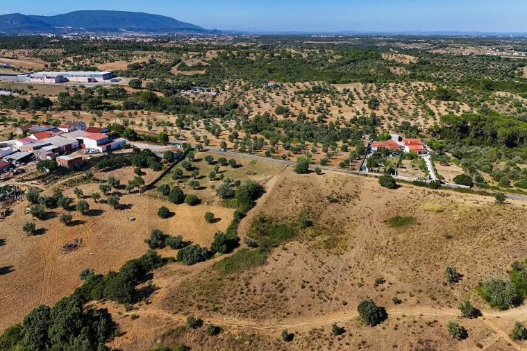 Terreno para Venda em Pernes Foto 11
