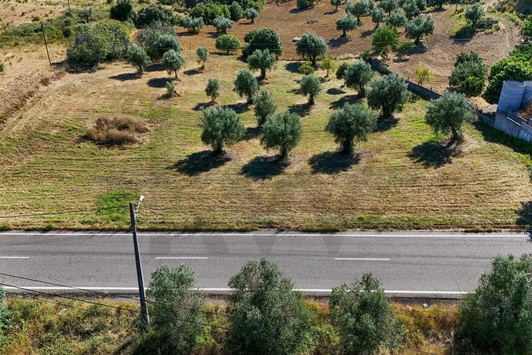 Terreno para Venda em Pernes Foto 5