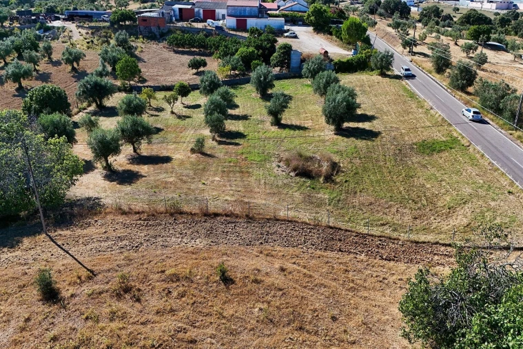 Terreno para Venda em Pernes Foto 6