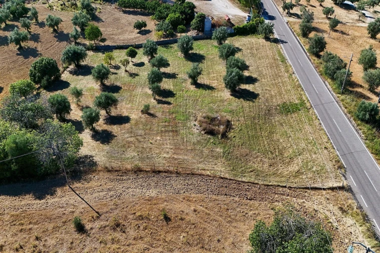 Terreno para Venda em Pernes Foto 7