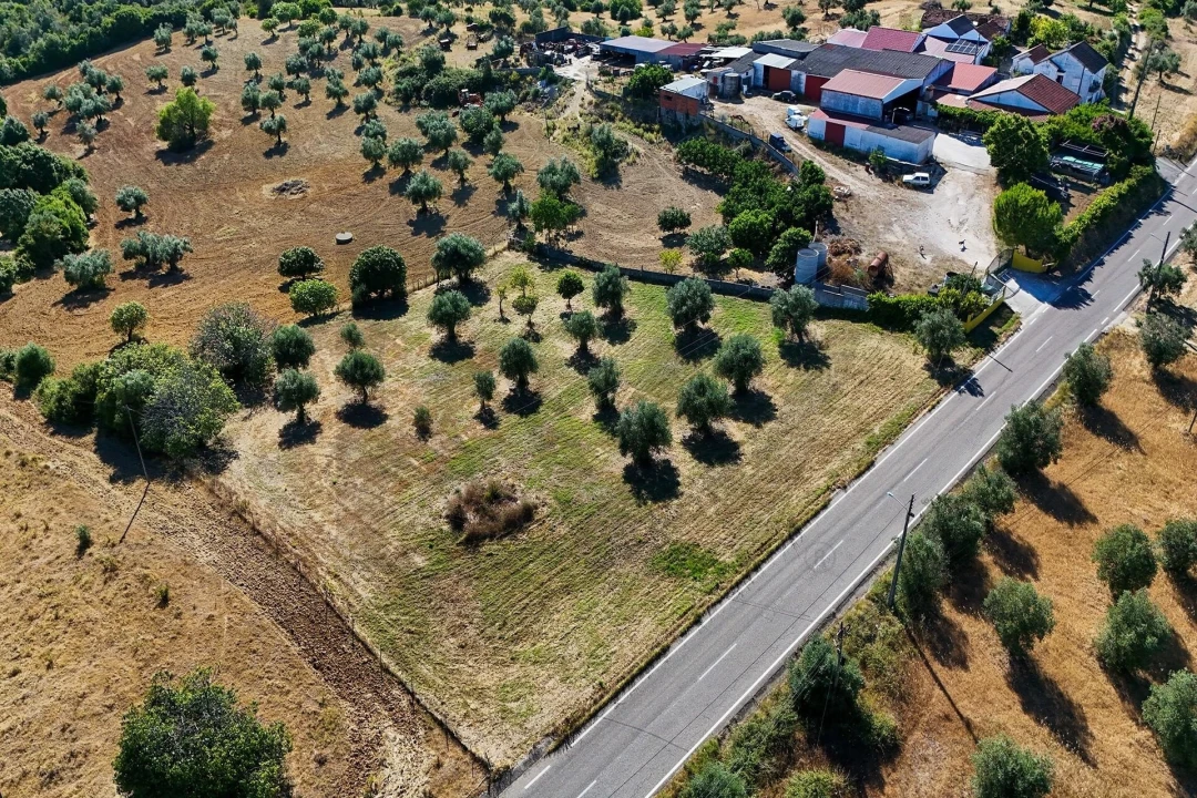 Terreno para Venda em Pernes Foto 20