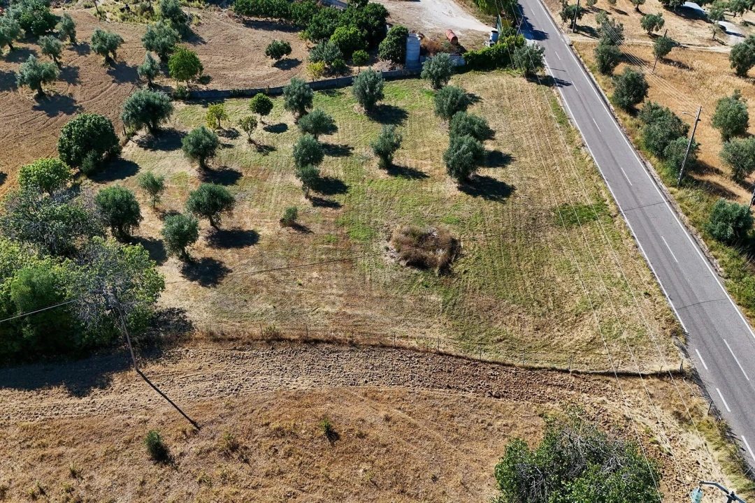 Terreno para Venda em Pernes Foto 7