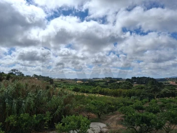 Quinta T4 para Venda em Mafra