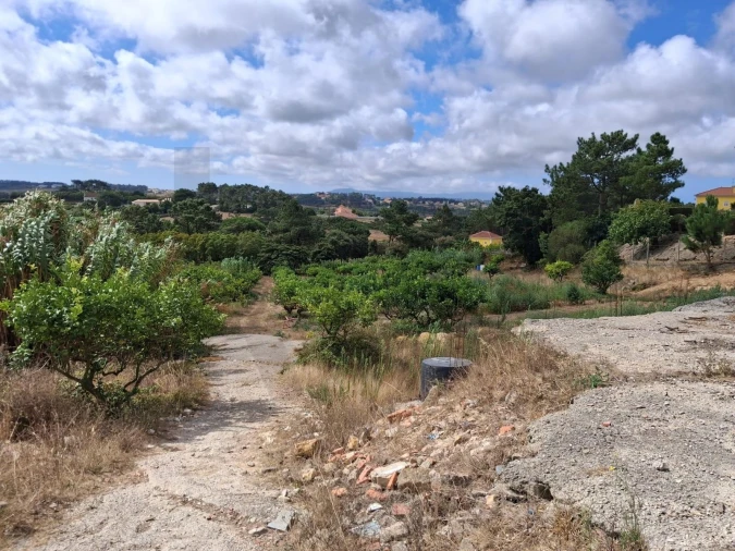 Quinta T4 para Venda em Mafra Foto 27