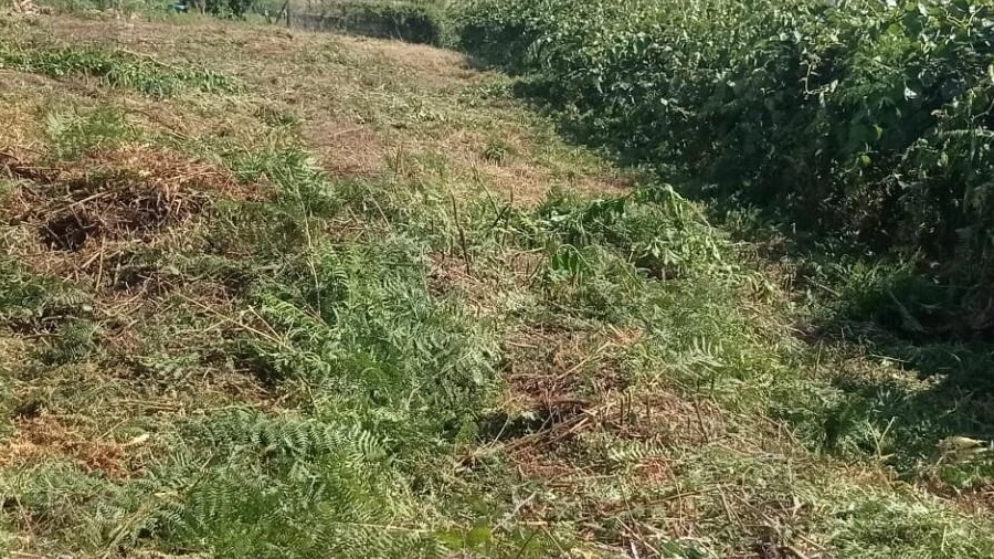Terreno para Venda em Gondomar (São Cosme), Valbom e Jovim