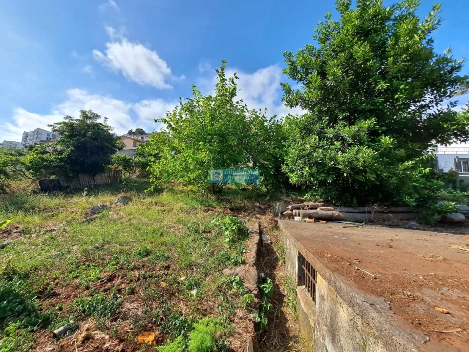 Terreno para Venda em Santo Antonio Foto 5