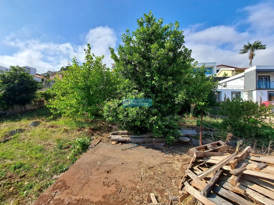 Terreno para Venda em Santo Antonio Foto 7
