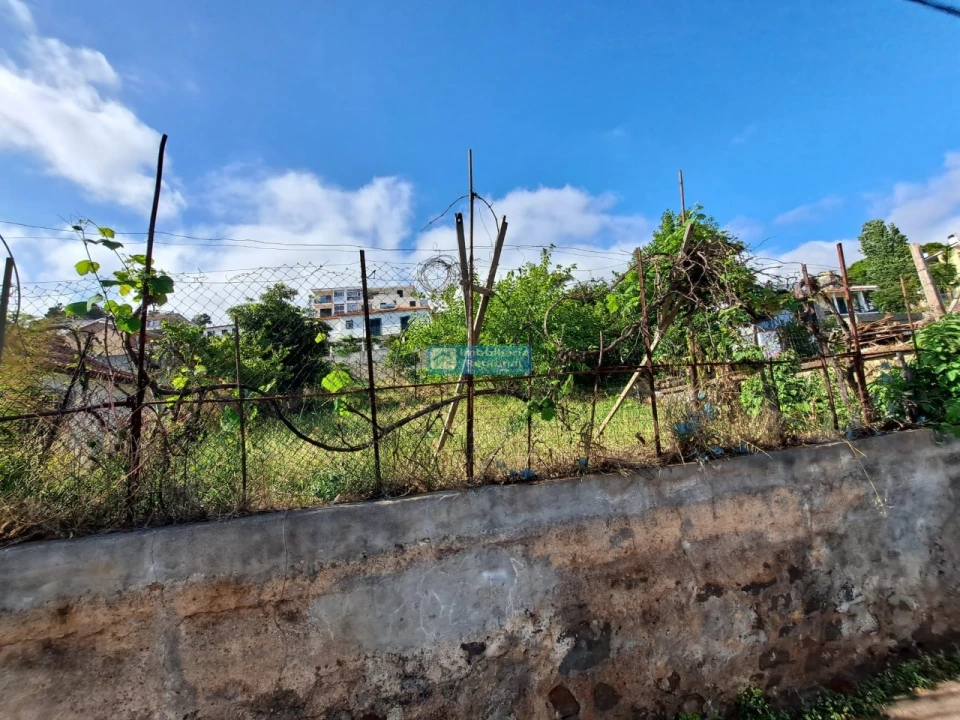 Terreno para Venda em Santo Antonio Foto 11