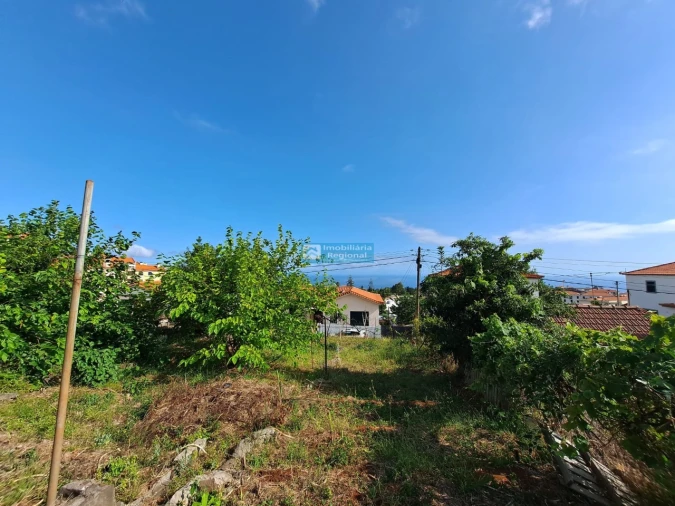 Terreno para Venda em Santo Antonio Foto 4