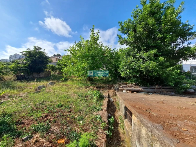 Terreno para Venda em Santo Antonio Foto 5