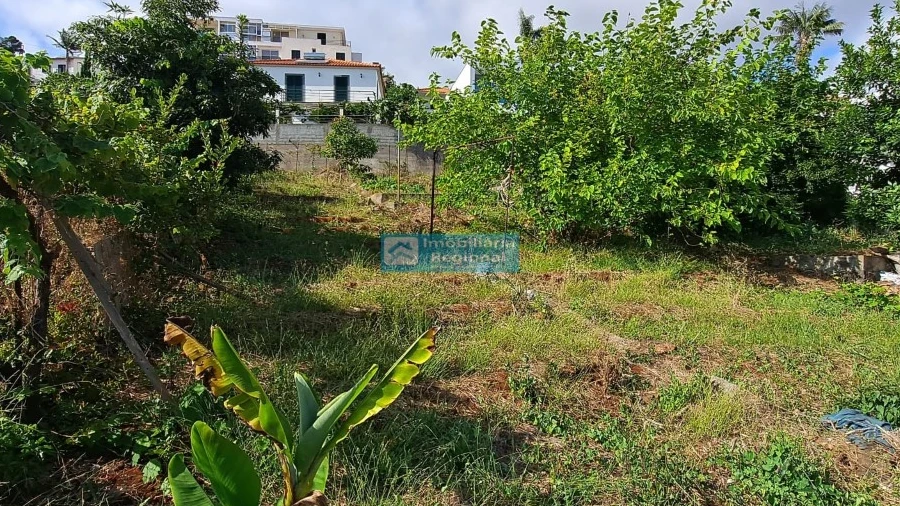 Terreno para Venda em Santo Antonio