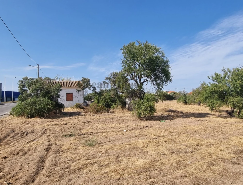 Terreno para Venda em Faro (Sé e São Pedro) Foto 4