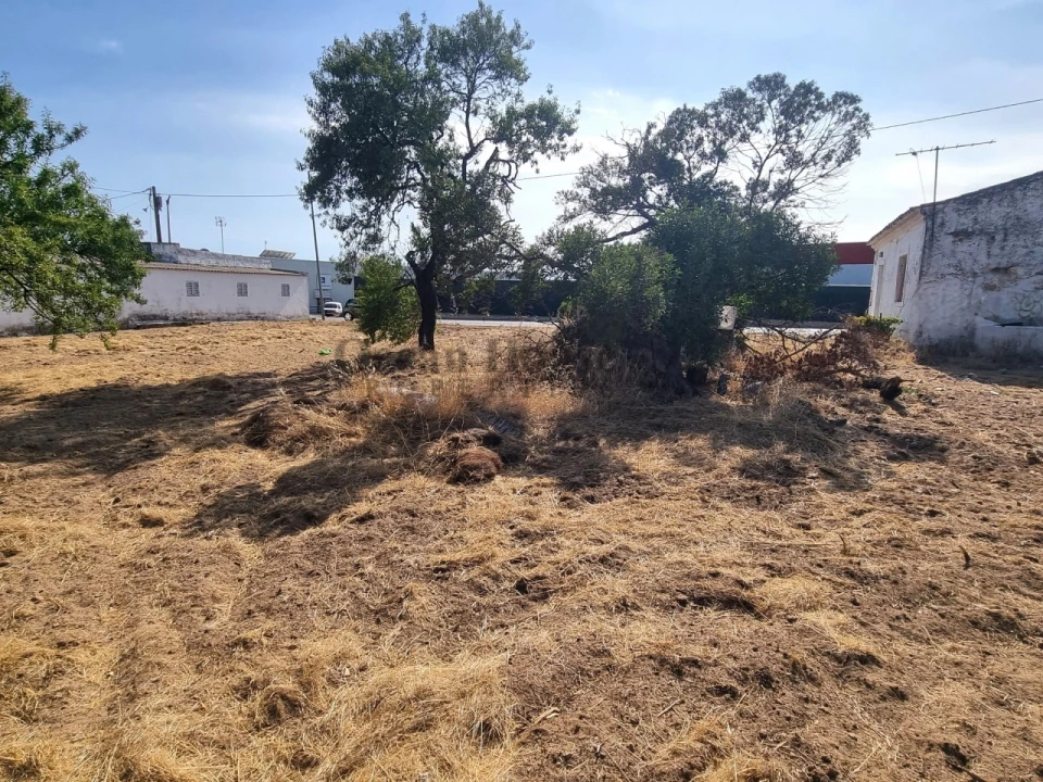 Terreno para Venda em Faro (Sé e São Pedro) Foto 10