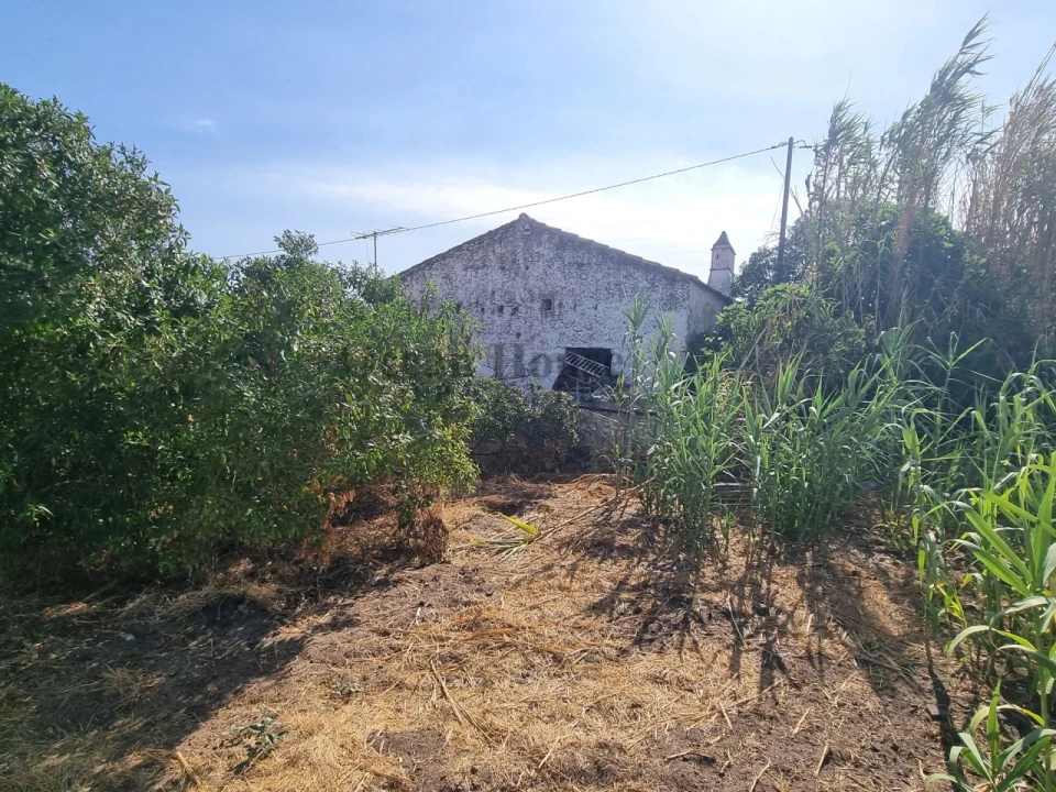Terreno para Venda em Faro (Sé e São Pedro) Foto 11