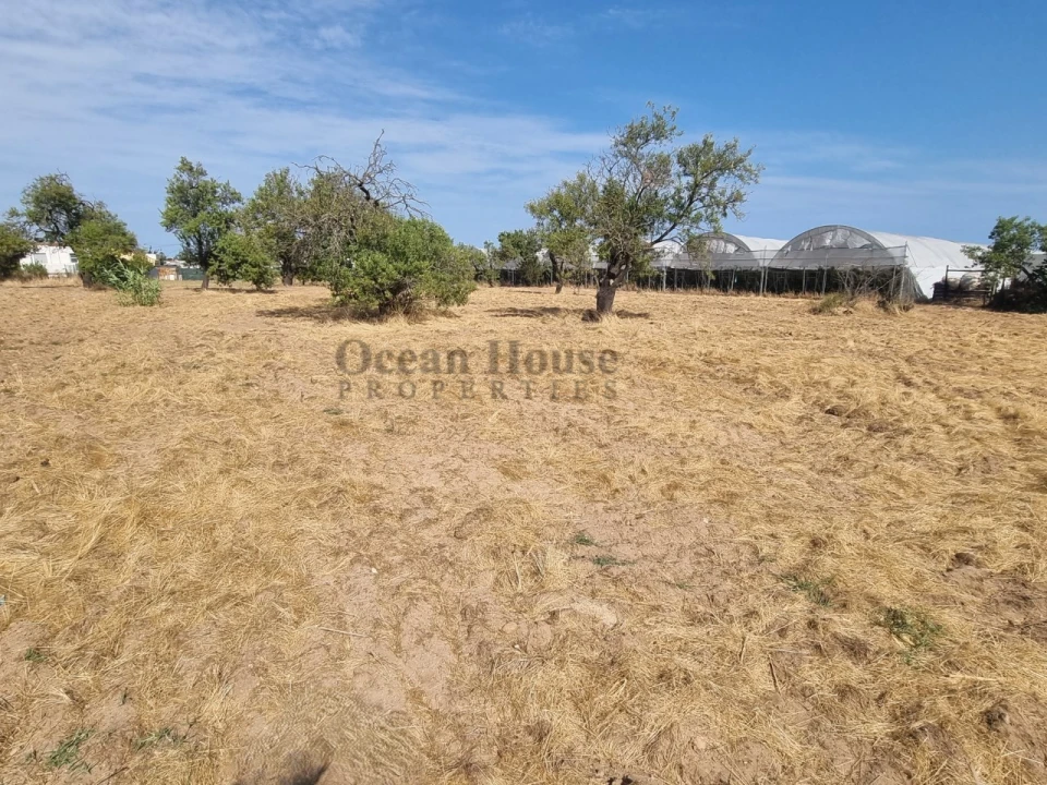 Terreno para Venda em Faro (Sé e São Pedro) Foto 13