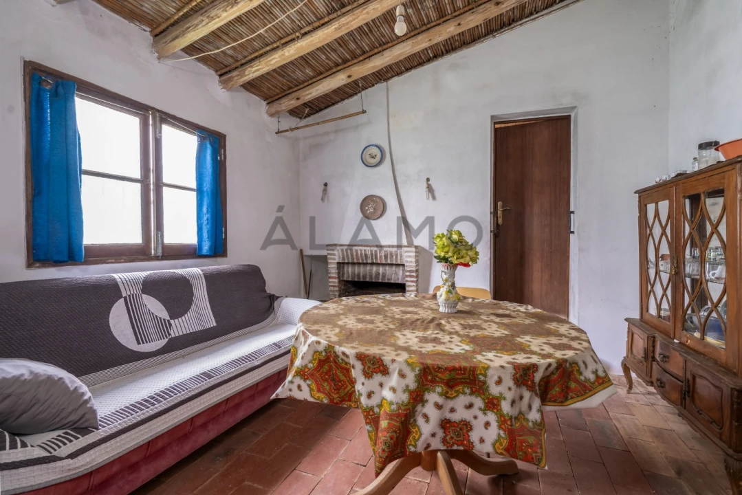 Quinta T8 para Venda em Salir Foto 4
