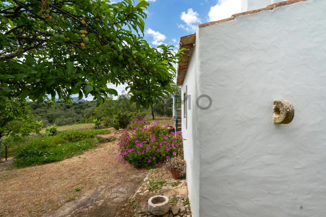 Quinta T8 para Venda em Salir Foto 7