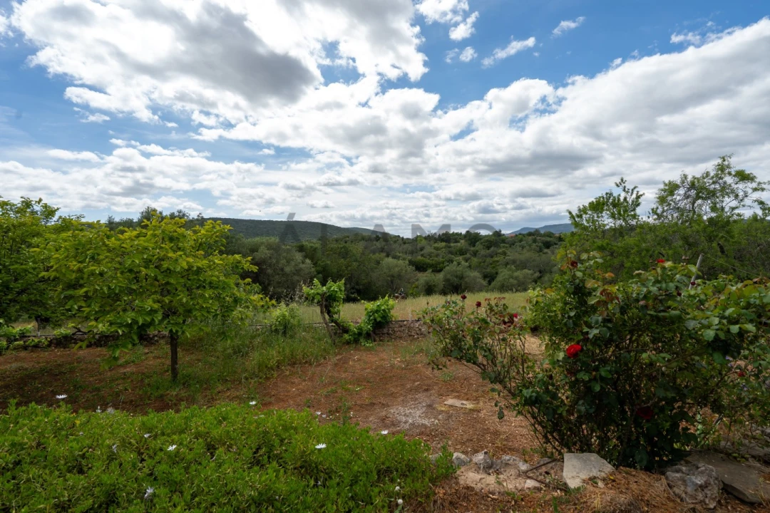 Quinta T8 para Venda em Salir Foto 9