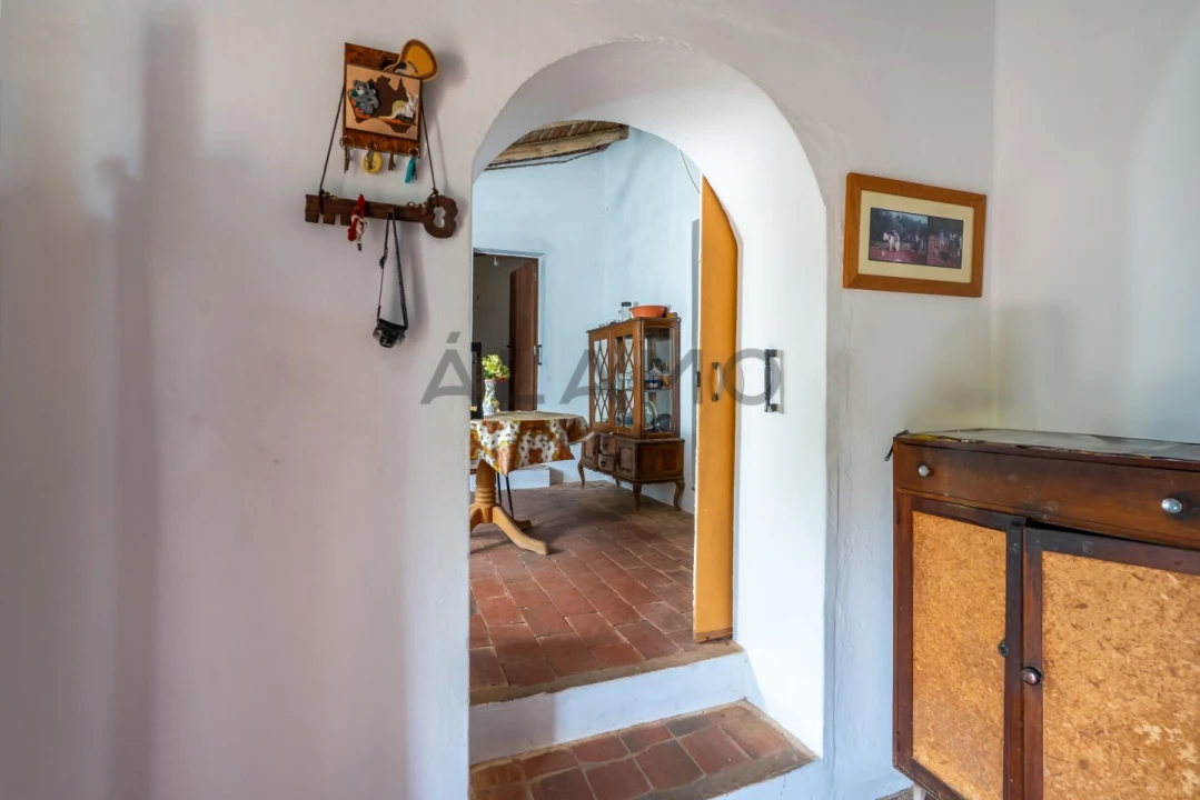 Quinta T8 para Venda em Salir Foto 46