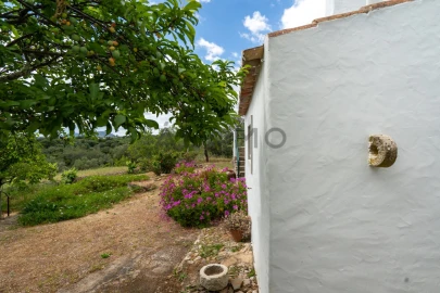 Quinta T8 para Venda em Salir