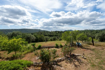 Quinta T8 para Venda em Salir
