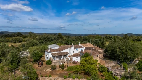 Quinta T8 para Venda em Salir