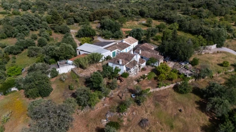 Quinta T8 para Venda em Salir