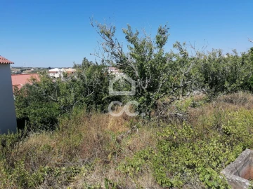 Terreno para Venda em Reguengo Grande