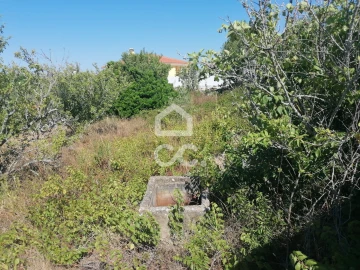 Terreno para Venda em Reguengo Grande