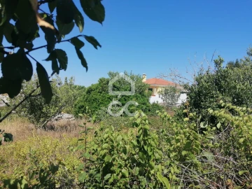 Terreno para Venda em Reguengo Grande