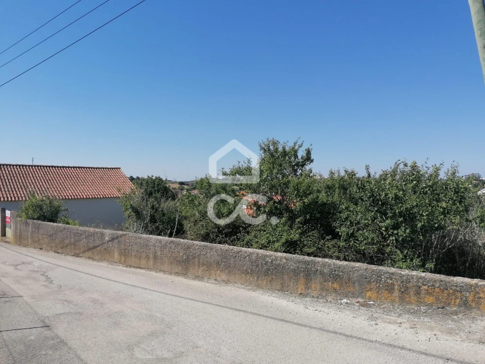 Terreno para Venda em Reguengo Grande Foto 4