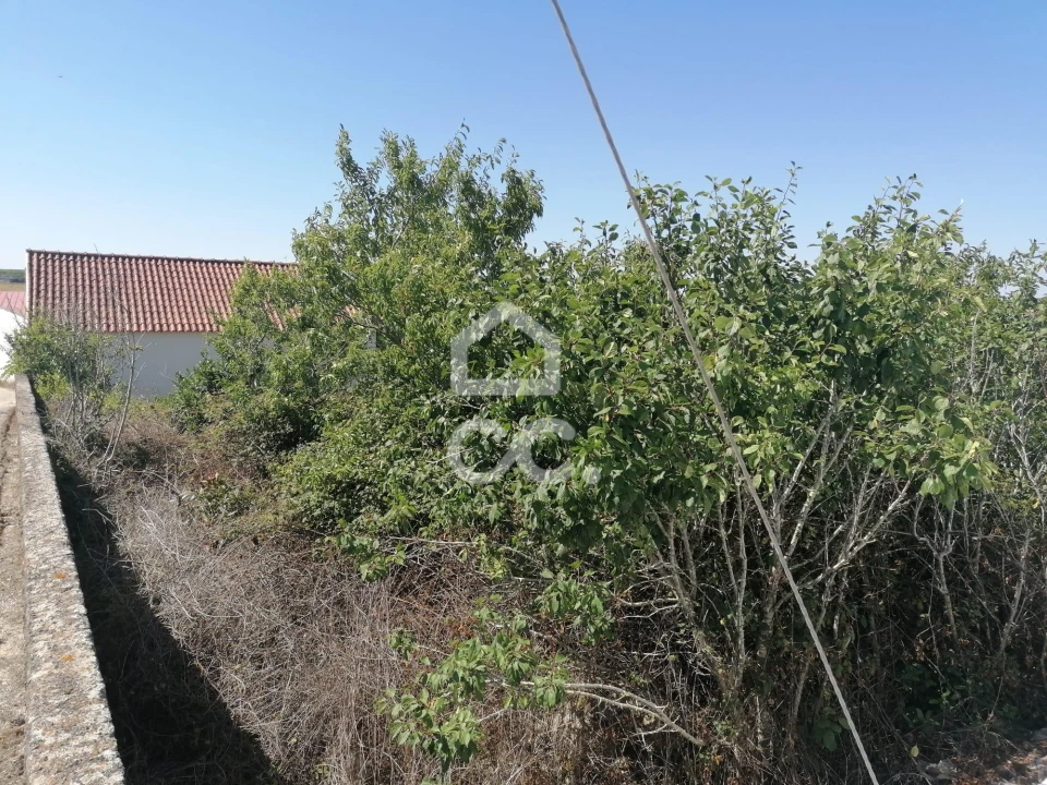 Terreno para Venda em Reguengo Grande Foto 5