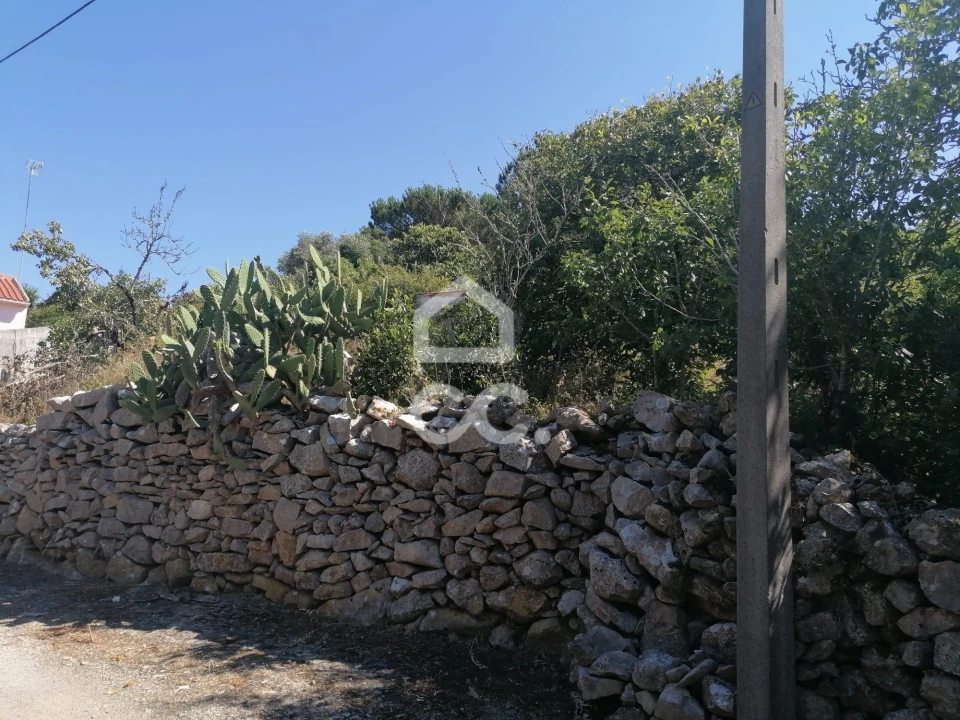 Terreno para Venda em Reguengo Grande Foto 13