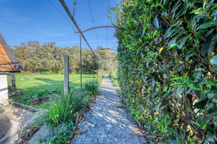 Quinta T7 para Venda em Santa Marinha e São Pedro da Afurada Foto 47