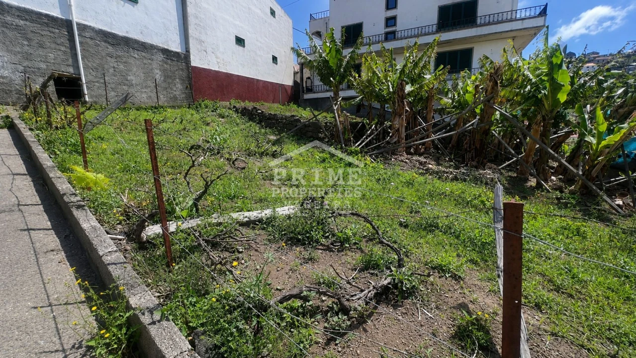 Moradia T2 para Venda em Ribeira Brava Foto 13