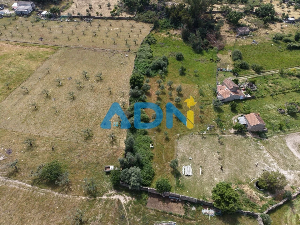 Terreno para Venda em Alcains Foto 18