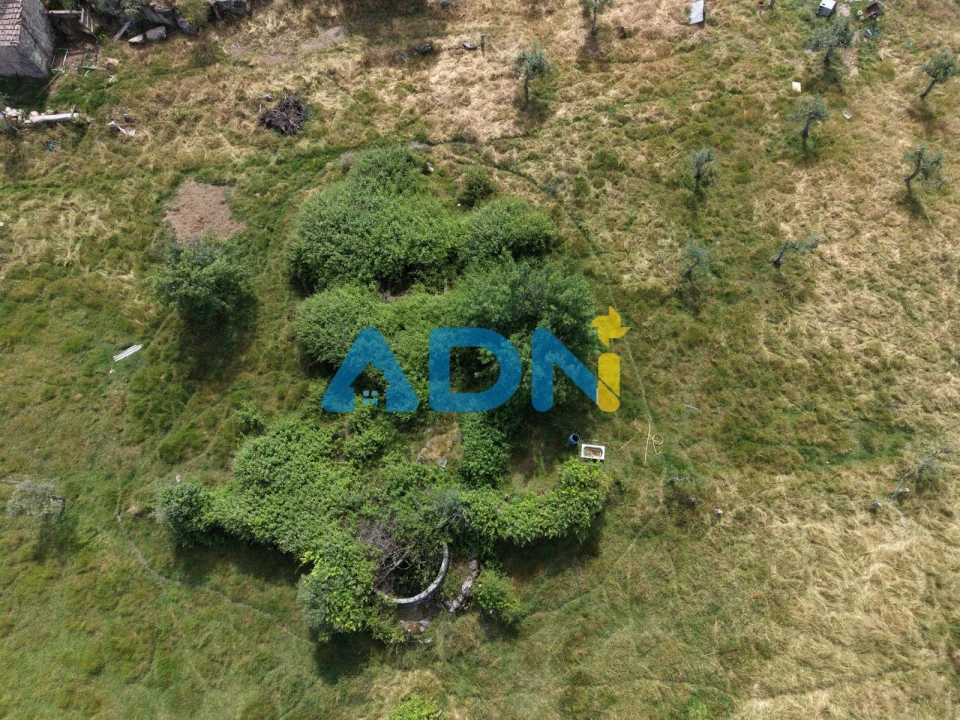 Terreno para Venda em Alcains Foto 6