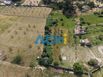 Terreno para Venda em Alcains